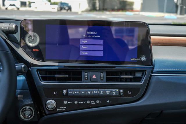 2025 Lexus ES 300h Unknown