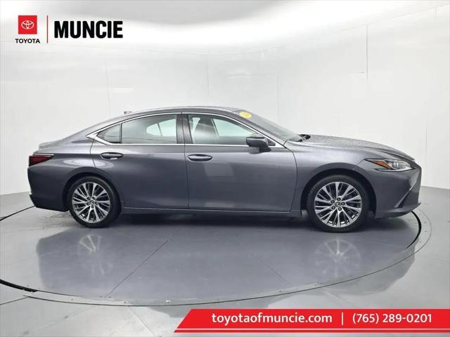 2019 Lexus ES 350 350 for sale in Muncie, IN