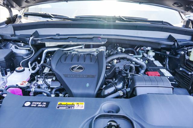 2025 Lexus TX 350 Premium