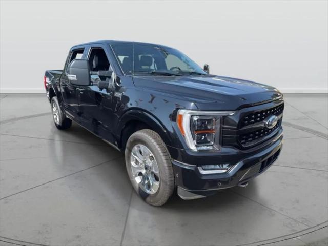 2023 Ford F-150 Tremor for sale in Amityville, NY