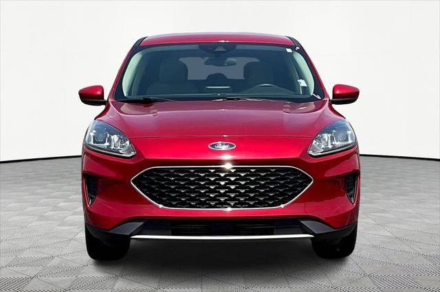 Used 2020 Ford Escape For Sale in Olive Branch, MS