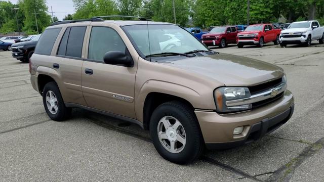 Used 2003 Chevrolet TrailBlazer LT with VIN 1GNDT13S832352139 for sale in Waterford, MI
