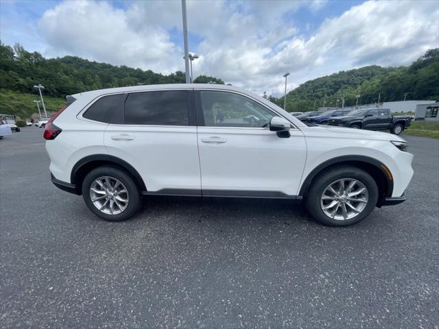 Used 2024 Honda CR-V For Sale in Pikeville, KY