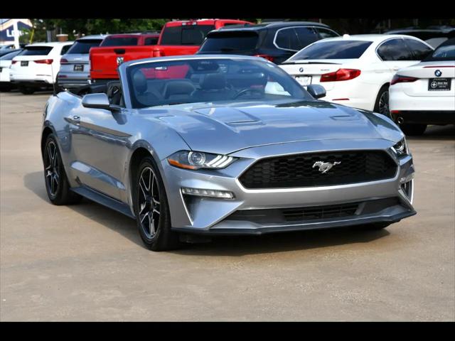 2023 Ford Mustang EcoBoost Convertible for sale in Dallas, TX