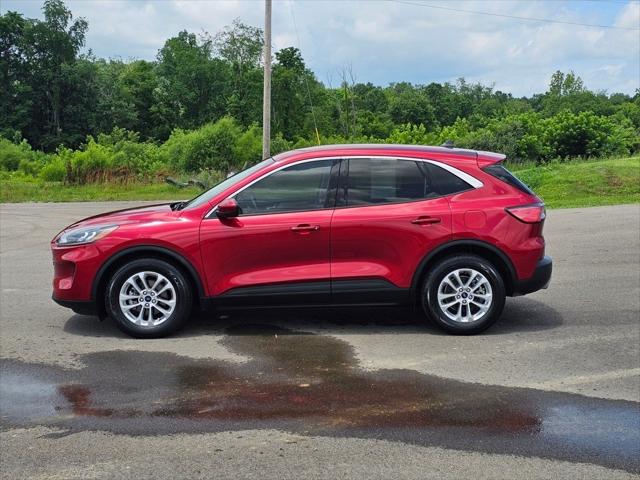 2021 Ford Escape SE 2021 Ford Escape SE