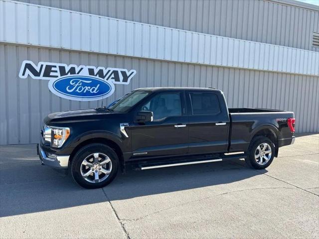 2023 Ford F-150 XLT for sale in Coon Rapids, IA