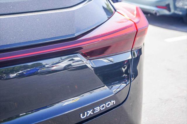2025 Lexus 300 UX 300h
