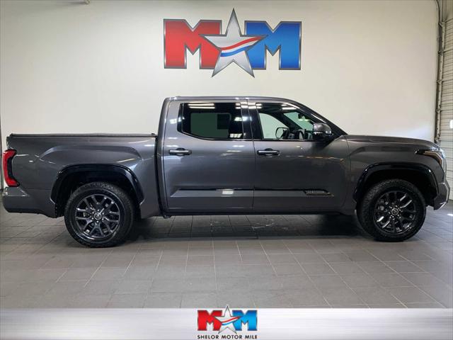 2022 Toyota Tundra Platinum 2022 Toyota Tundra Platinum