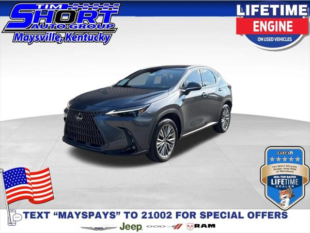 2024 Lexus NX 350h Luxury