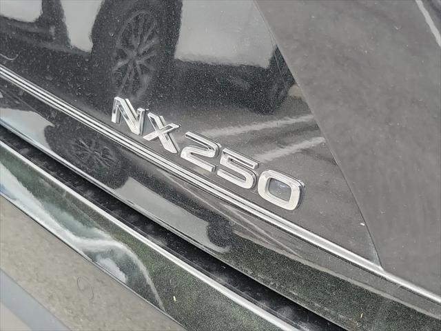 2024 Lexus NX Premium