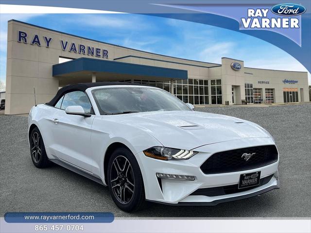 2023 Ford Mustang EcoBoost Convertible for sale in Clinton, TN