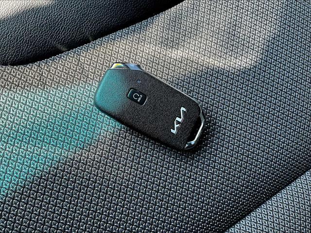 2022 Kia Niro EV EX