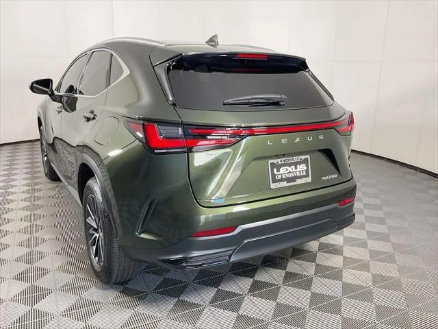 2025 Lexus NX Premium