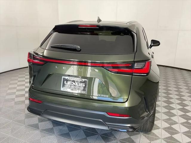 2025 Lexus NX Premium