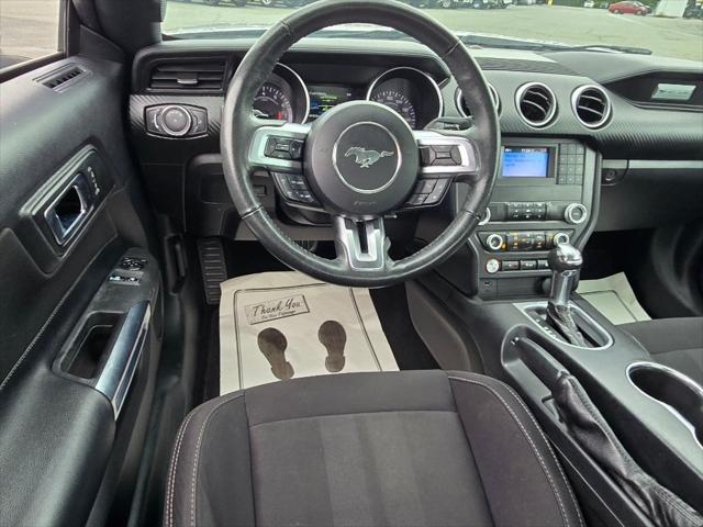 2019 Ford Mustang EcoBoost 2019 Ford Mustang EcoBoost