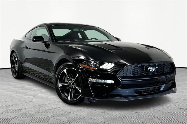 2019 Ford Mustang EcoBoost 2019 Ford Mustang EcoBoost