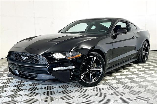 2019 Ford Mustang EcoBoost 2019 Ford Mustang EcoBoost