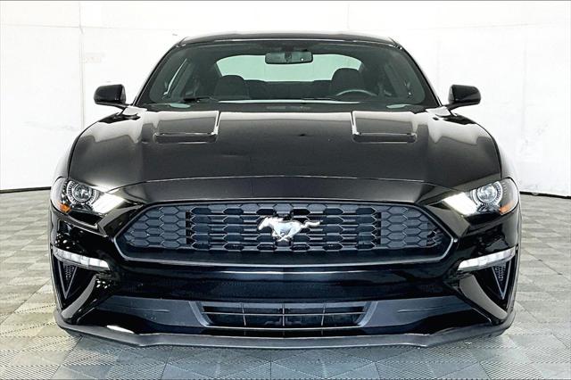 2019 Ford Mustang EcoBoost 2019 Ford Mustang EcoBoost