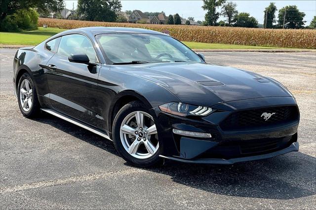 2019 Ford Mustang EcoBoost 2019 Ford Mustang EcoBoost