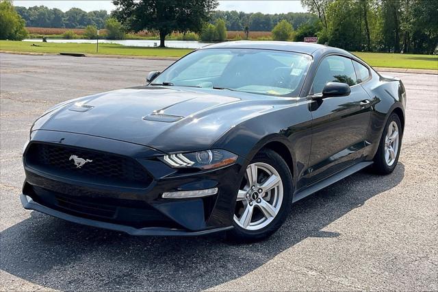 2019 Ford Mustang EcoBoost 2019 Ford Mustang EcoBoost