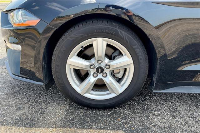 2019 Ford Mustang EcoBoost 2019 Ford Mustang EcoBoost