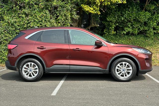 2021 Ford Escape SE 2021 Ford Escape SE