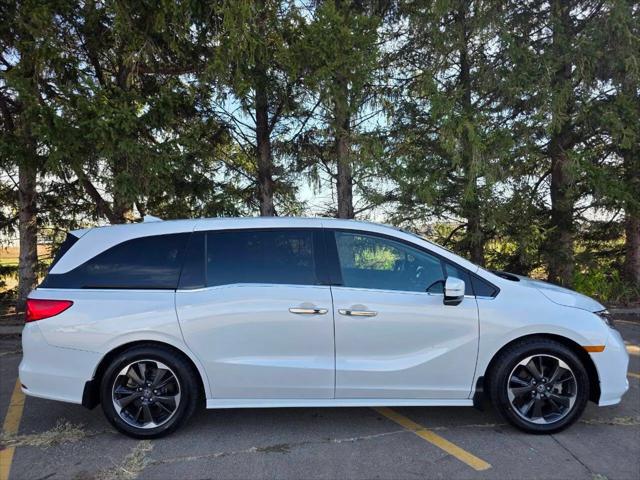 2023 Honda Odyssey Elite