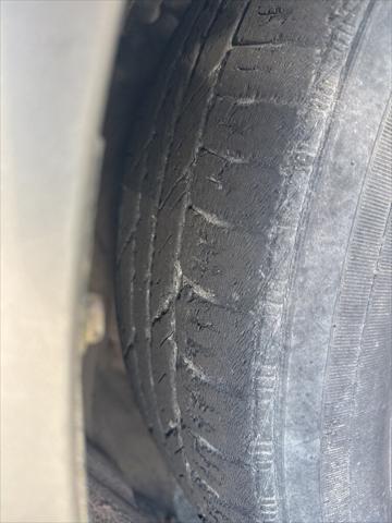2008 Toyota Sienna XLE