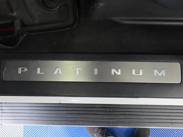 2022 Ford F-450 Platinum