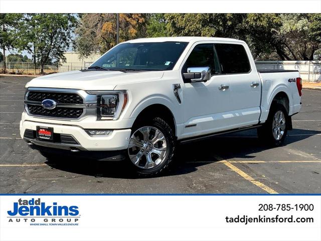 2021 Ford F-150 Platinum 2021 Ford F-150 Platinum