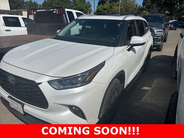 2023 Toyota Highlander Hybrid XLE Bronze