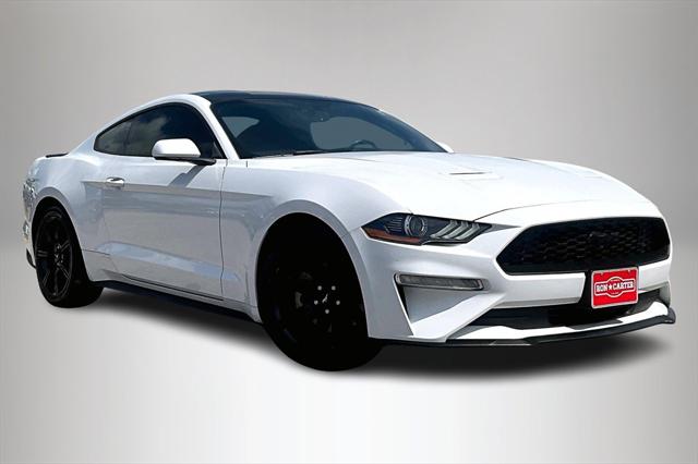 2019 Ford Mustang EcoBoost 2019 Ford Mustang EcoBoost