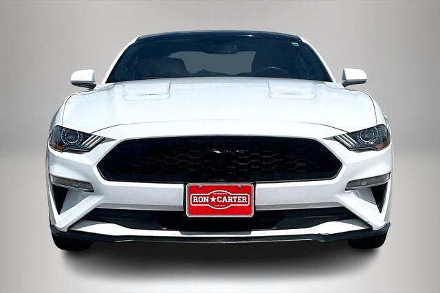 2019 Ford Mustang EcoBoost 2019 Ford Mustang EcoBoost