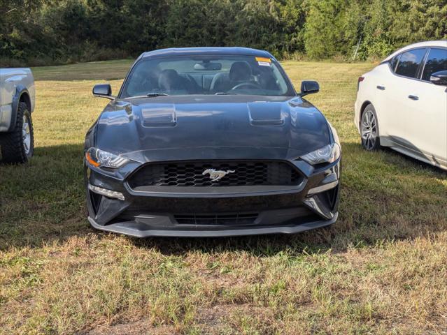2019 Ford Mustang EcoBoost