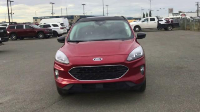 2022 Ford Escape SEL 2022 Ford Escape SEL