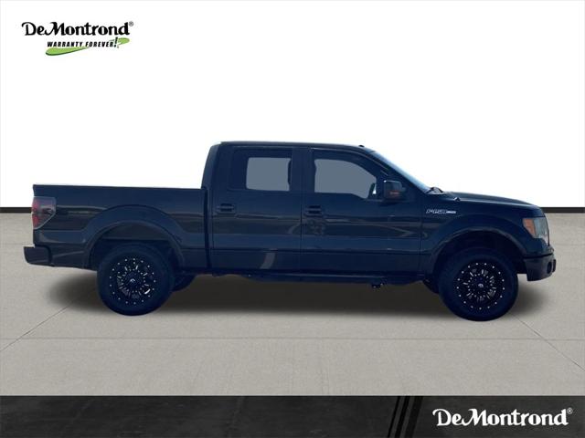 2010 Ford F-150 