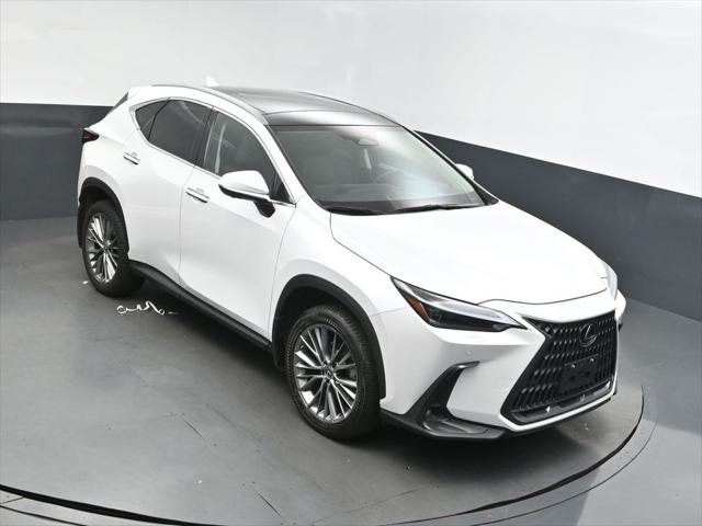 2023 Lexus NX 350's photo