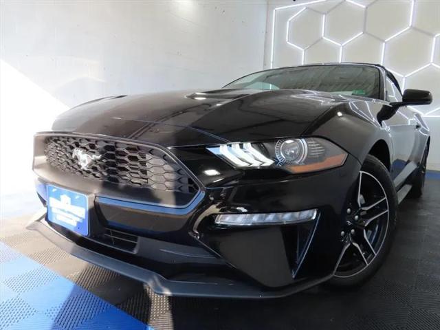 2023 Ford Mustang EcoBoost Premium Convertible for sale in Manassas, VA