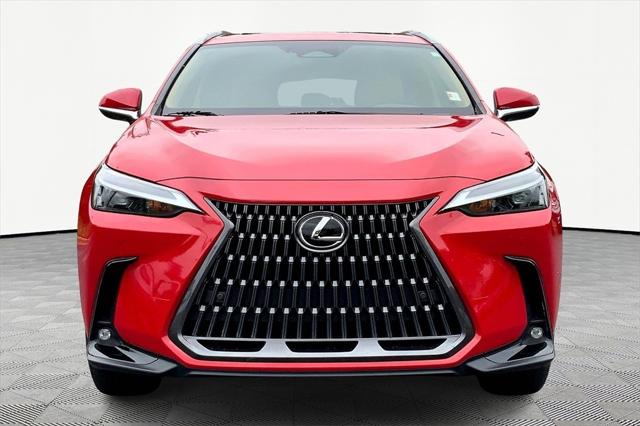 2024 Lexus NX 250 Premium