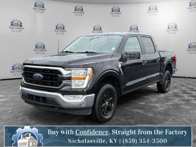 2022 Ford F-150 XLT for sale in Nicholasville, KY
