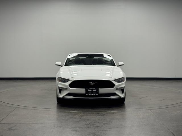 2023 Ford Mustang EcoBoost Convertible 2023 Ford Mustang EcoBoost Convertible