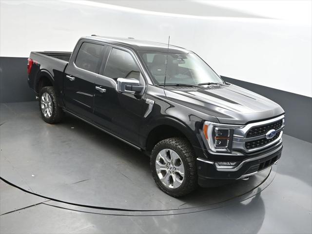2023 Ford F-150 Platinum's photo