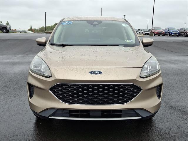 2020 Ford Escape SE 2020 Ford Escape SE