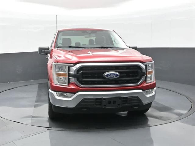 2021 Ford F-150 XLT 2021 Ford F-150 XLT