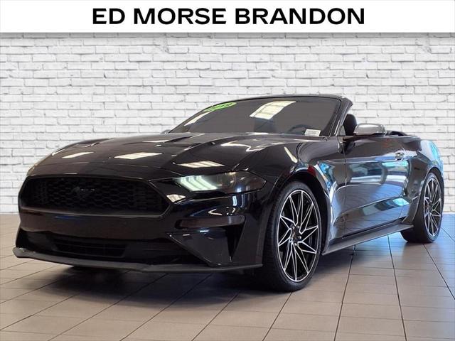 2019 Ford Mustang EcoBoost 2019 Ford Mustang EcoBoost