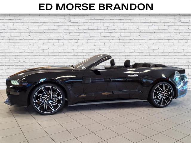 2019 Ford Mustang EcoBoost 2019 Ford Mustang EcoBoost