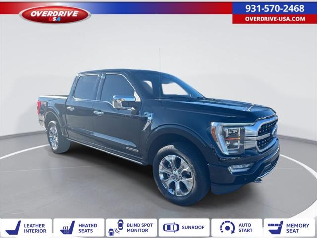 2022 Ford F-150 Platinum 2022 Ford F-150 Platinum