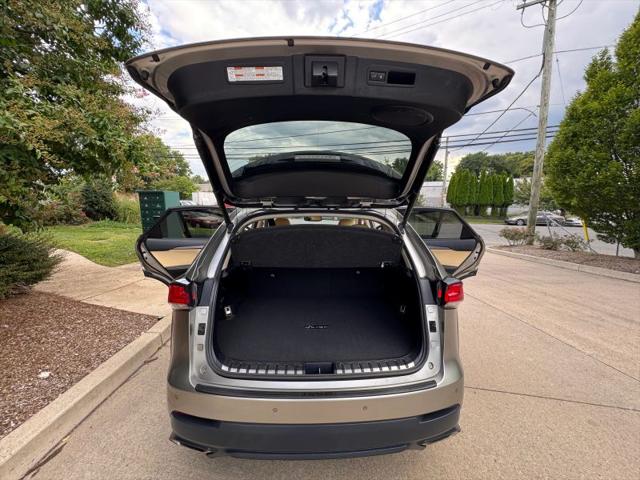 2019 Lexus NX 300 F SPORT