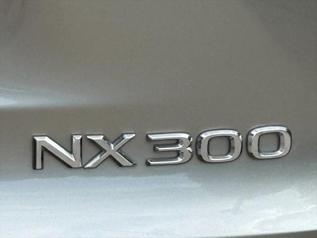 2019 Lexus NX 300 F SPORT