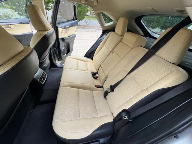 2019 Lexus NX 300 F SPORT
